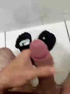 Linus_casal_loucuras