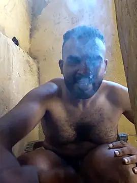 Lion_meis