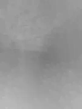Ltfxxi