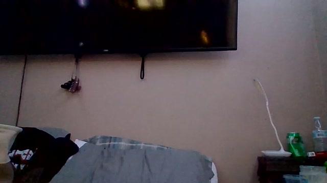 MRdee270