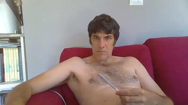 Markbull