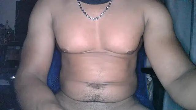 Metisse-BBC