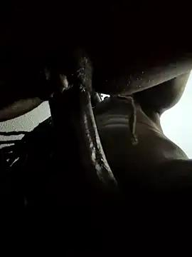 Misternmisses