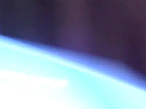 Monkey00221