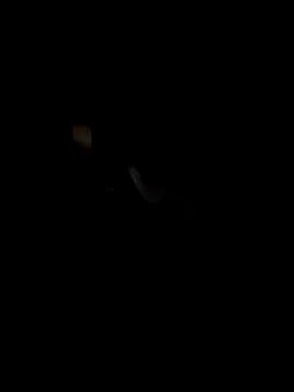 Mr_Cobra23