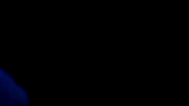 NO_I_N_TEAM