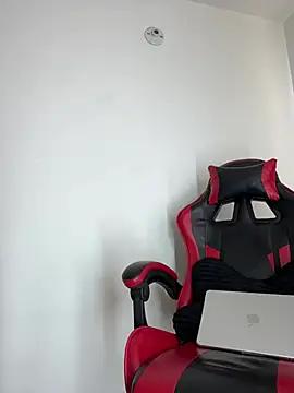NelModel1