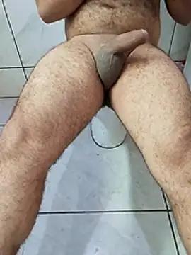 Novin23cms