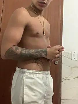 Novindot23cm