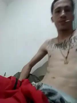 Novinho_do_pau-de21cm