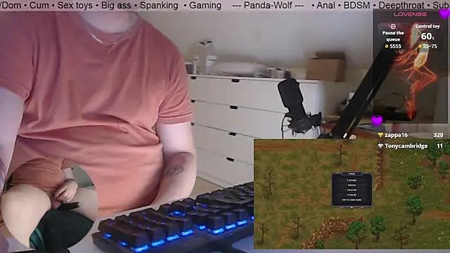 Panda-Wolf