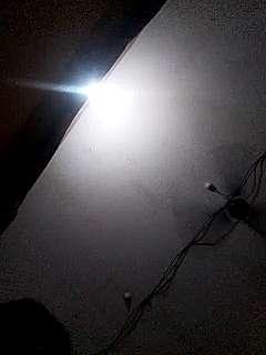 Pavan890xx