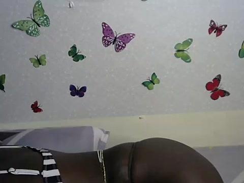 Petite_pinnah