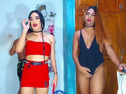 PlayBoyGroup