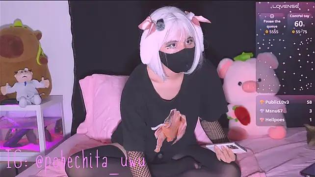 Pobechita