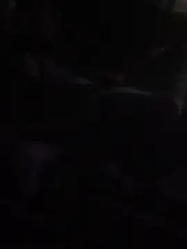 PsYxHaC16