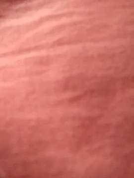 Puja_10