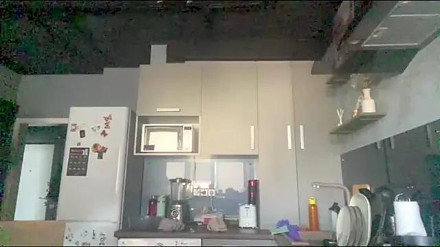 RejectedOrigami_