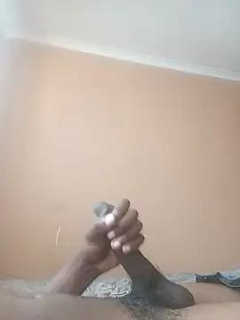 SGee96