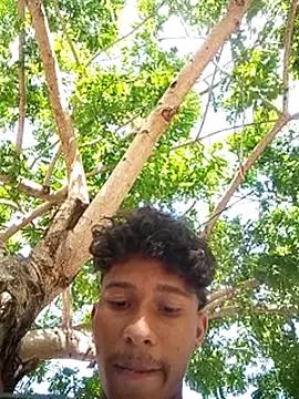 SOYFAKER
