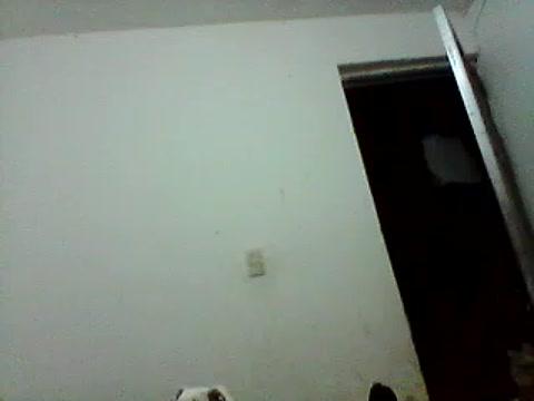 SamanthaYDrake20