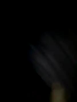 Sebastiello12357