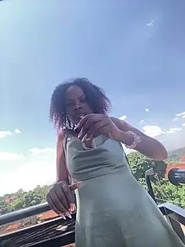 Sis27