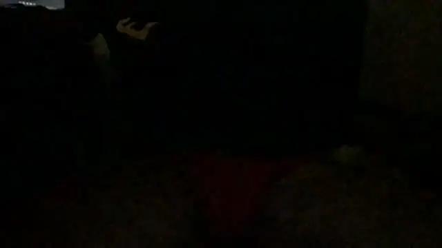 TheYoungFrenchie