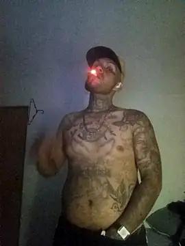 Tripalop