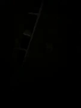 Vaishnavisexxxy