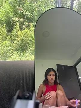 VelvetSubmission