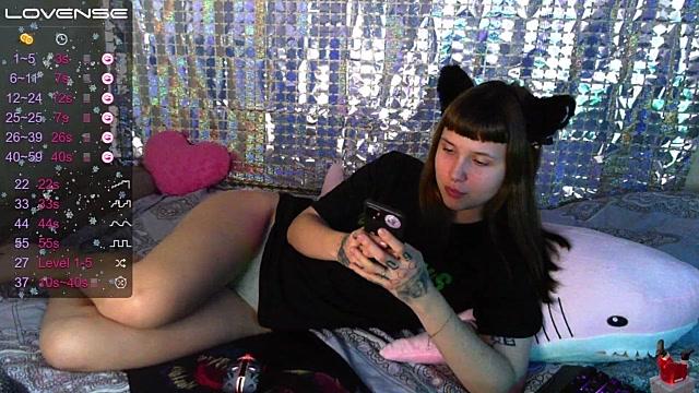 Velvet__Kitten