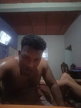 ViMar_0408