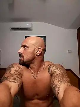 Visto36