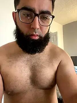 Zayn_Stallion