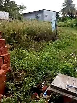 _-_-novinha22anos_-_-