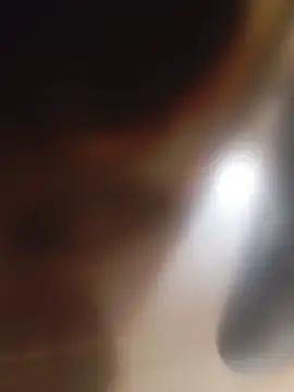 adoro_pau_pequeno