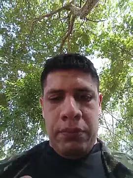 alegordis