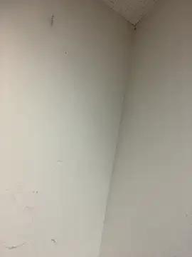 alinnn20000