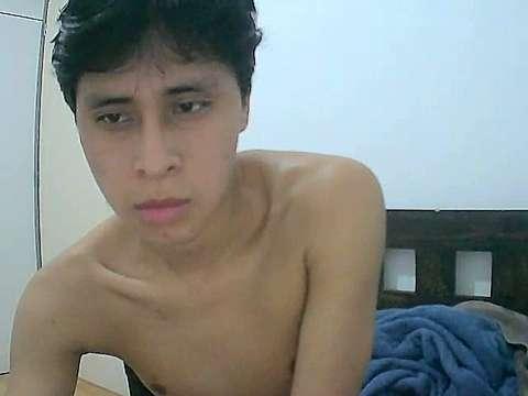 ammyLion
