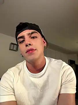 aronnhidden