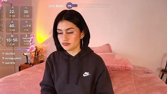 arye_lle