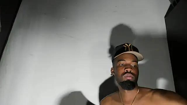 blaze_panther