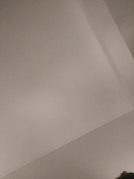 bluedrago88
