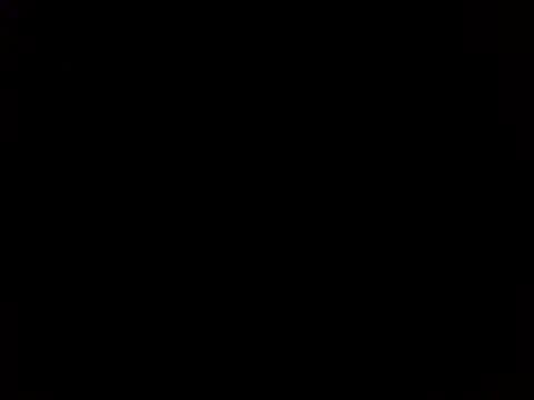 bololami