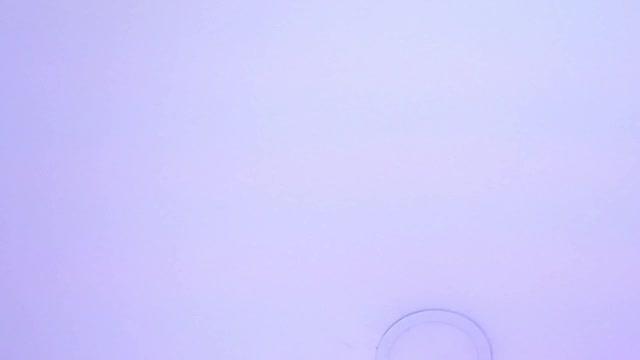 brandy_l1