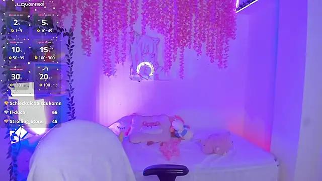 cat_kitty18_