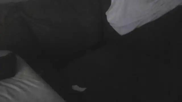 cockslobber91