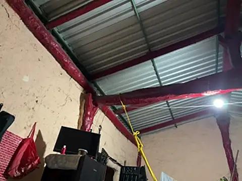 cogelon_cruz