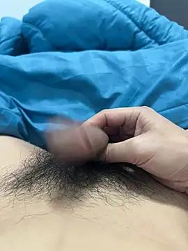 dahai147258